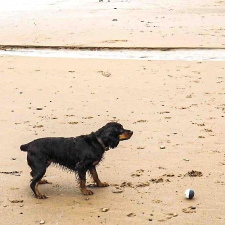 Large Cottage, Beach, Pubs Shops, Netflix, Bbq, Dog Friendly Hunmanby Eksteriør billede