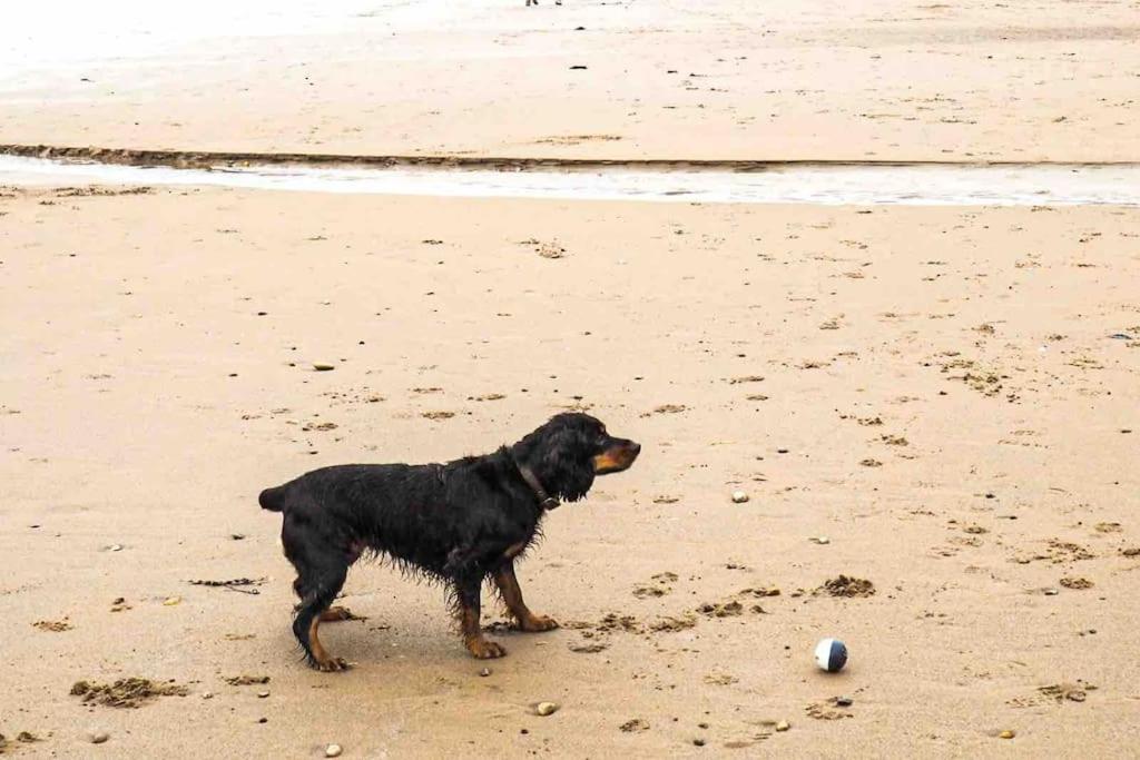Large Cottage, Beach, Pubs Shops, Netflix, Bbq, Dog Friendly Hunmanby Eksteriør billede
