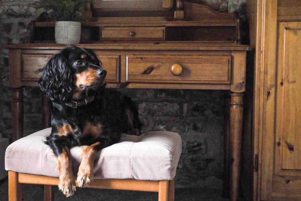 Large Cottage, Beach, Pubs Shops, Netflix, Bbq, Dog Friendly Hunmanby Eksteriør billede