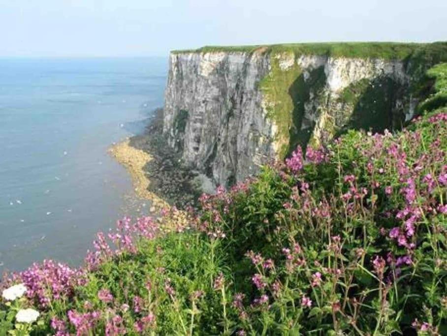 Large Cottage, Beach, Pubs Shops, Netflix, Bbq, Dog Friendly Hunmanby Eksteriør billede